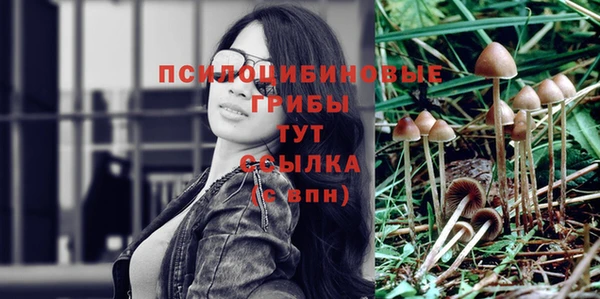 амф Березники